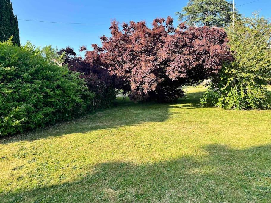 Gite De La Petite Fourmy Saint-Sulpice-les-Feuilles 外观 照片