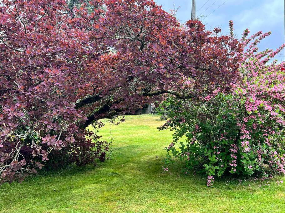 Gite De La Petite Fourmy Saint-Sulpice-les-Feuilles 外观 照片