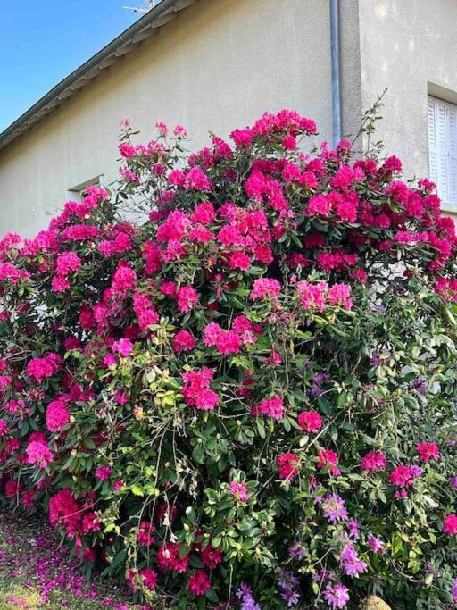 Gite De La Petite Fourmy Saint-Sulpice-les-Feuilles 外观 照片