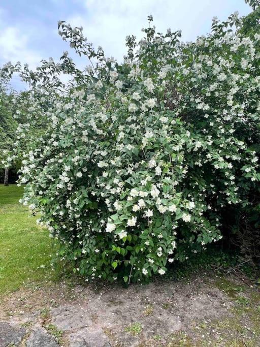 Gite De La Petite Fourmy Saint-Sulpice-les-Feuilles 外观 照片