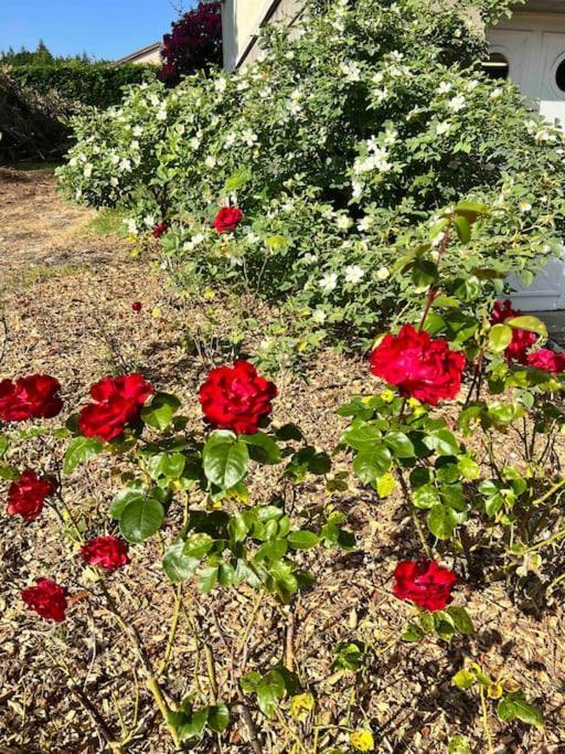 Gite De La Petite Fourmy Saint-Sulpice-les-Feuilles 外观 照片